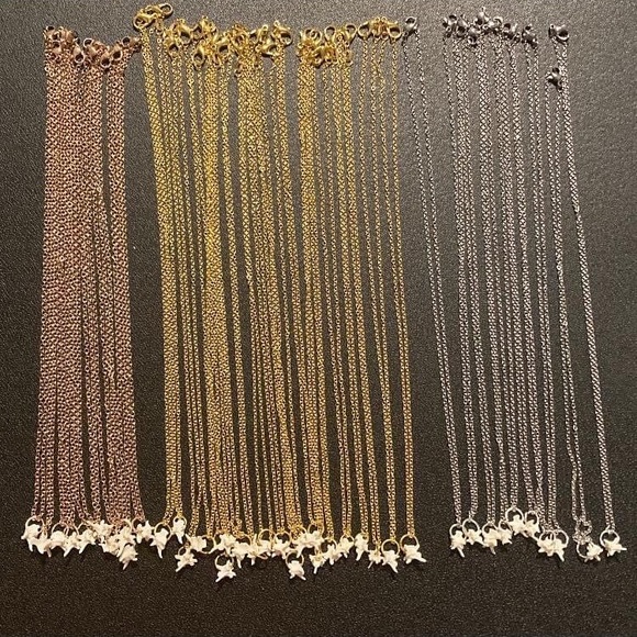 Rattle snake vertebrae necklace - Picture 1 of 1